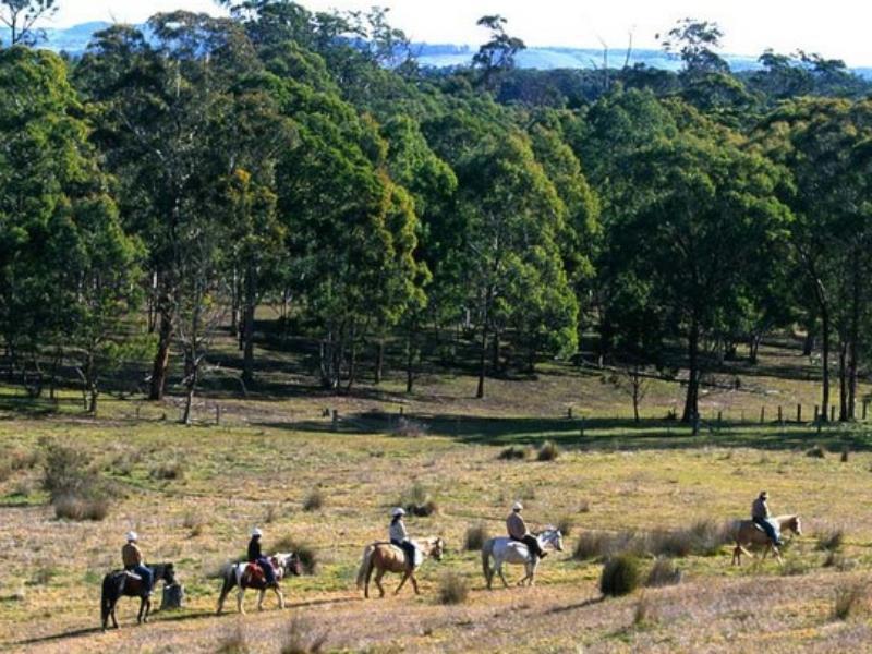 Katoomba Mountain Lodge Екстериор снимка